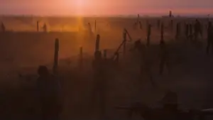 Backdrop to the movie "Cool Hand Luke" #754843