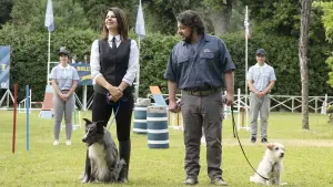 Backdrop to the movie "Gli addestratori" #448906