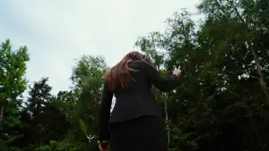 Backdrop to the movie "Bugonia" #511614