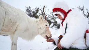 Backdrop to the movie "Stolen" #689870