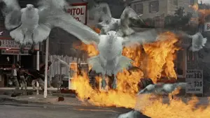 Backdrop to the movie "The Birds" #677222