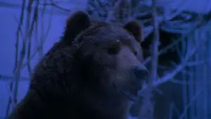 Backdrop to the movie "Twelve Monkeys" #772904