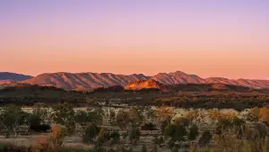 Backdrop to the movie "Wolfram" #787391