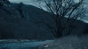 Backdrop to the movie "Nosferatu" #553042