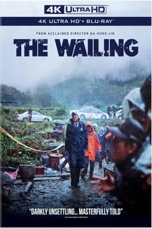 Poster to the movie "The Wailing" #709269