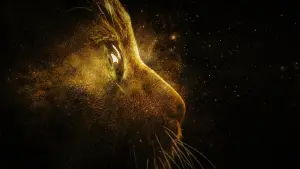 Backdrop to the movie "Captain Marvel" #259684