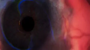 Watch film A Visual Poem | A Visual Poem Official Trailer