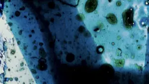 Backdrop to the movie "Comingled Containers" #706804