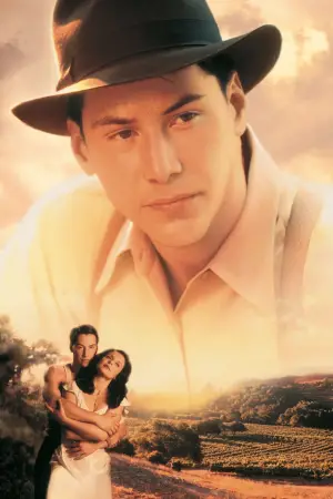 Poster to the movie "A Walk in the Clouds" #741999