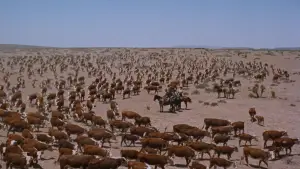 Backdrop to the movie "Giant" #713257