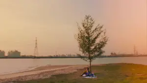 Backdrop to the movie "A Useful Ghost" #537095