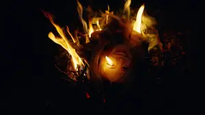 Backdrop to the movie "Bugonia" #511597