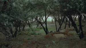 Backdrop to the movie "Where Is My Friend