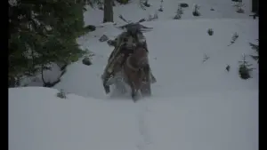 Backdrop to the movie "On the Silver Globe" #690718