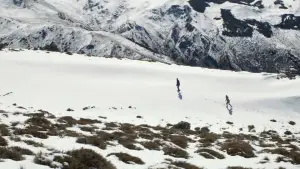 Backdrop to the movie "Cannibal" #697813