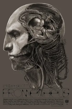 Poster to the movie "Prometheus" #34543