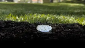 Backdrop to the movie "Molt" #716689