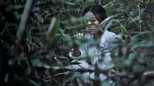 Backdrop to the movie "The Wailing" #709265