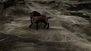 Backdrop to the movie "The Waves Saga" #556026