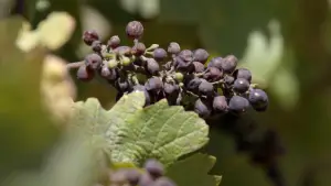 Backdrop to the movie "The Two Eighty Project" #791943