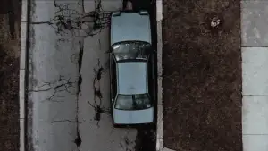 Backdrop to the movie "Buffalo 