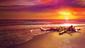 Backdrop to the movie "The Beach Bum" #420795