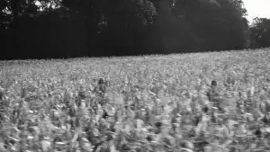 Backdrop to the movie "Springsteen: Deliver Me from Nowhere" #550900