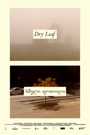 Poster to the movie "Dry Leaf" #770909