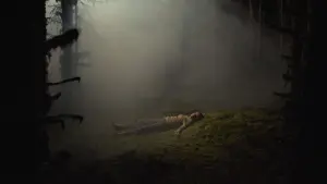 Backdrop to the movie "Sometimes I Think About Dying" #196215