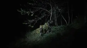 Backdrop to the movie "Corre o vento" #410147