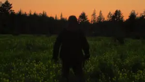 Backdrop to the movie "In a Violent Nature" #622172