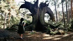 Backdrop to the movie "Pan