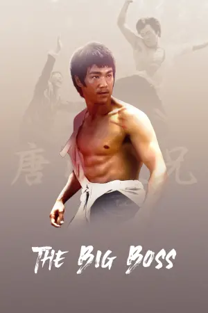 Poster to the movie "The Big Boss" #237946