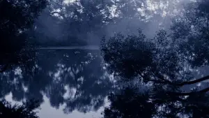 Backdrop to the movie "Solaris" #731595