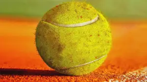 Backdrop to the movie "My Tennis Maestro" #661939