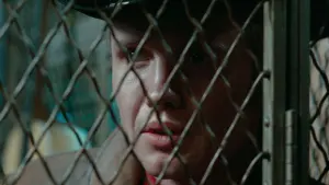 Backdrop to the movie "Midnight Cowboy" #210169