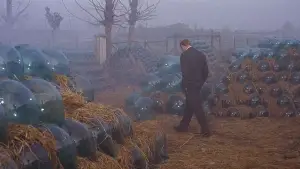 Backdrop to the movie "Red Desert" #775115