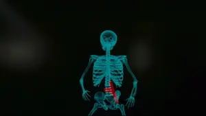 Backdrop to the movie "Total Recall" #607612