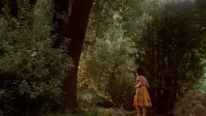 Backdrop to the movie "Identikit" #712486