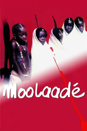 Poster to the movie "Moolaadé" #631019
