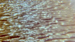 Backdrop to the movie "Sadio" #412697