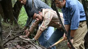 Backdrop to the movie "Mandrake" #656604