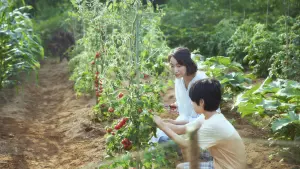 Backdrop to the movie "Hidden Things" #484378