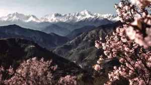 Backdrop to the movie "The Fable" #783270