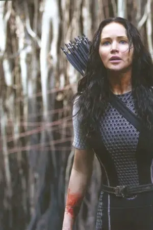 Poster to the movie "The Hunger Games: Catching Fire" #169881