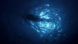 Backdrop to the movie "Jaws" #521055