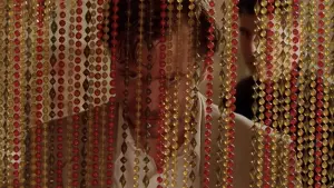 Backdrop to the movie "Léon: The Professional" #563320