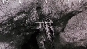 Backdrop to the movie "Godzilla, Mothra and King Ghidorah: Giant Monsters All-Out Attack" #903634