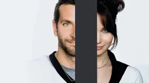 Silver Linings Playbook