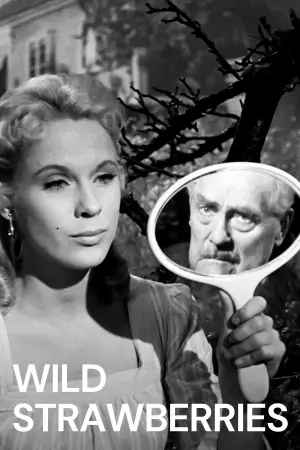 Poster to the movie "Wild Strawberries" #693427